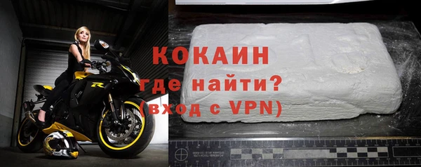 соль ск Алзамай