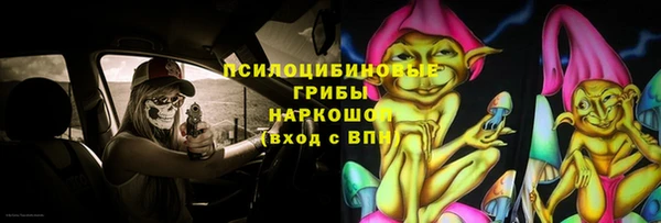 соль ск Алзамай