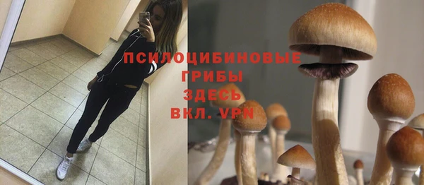соль ск Алзамай