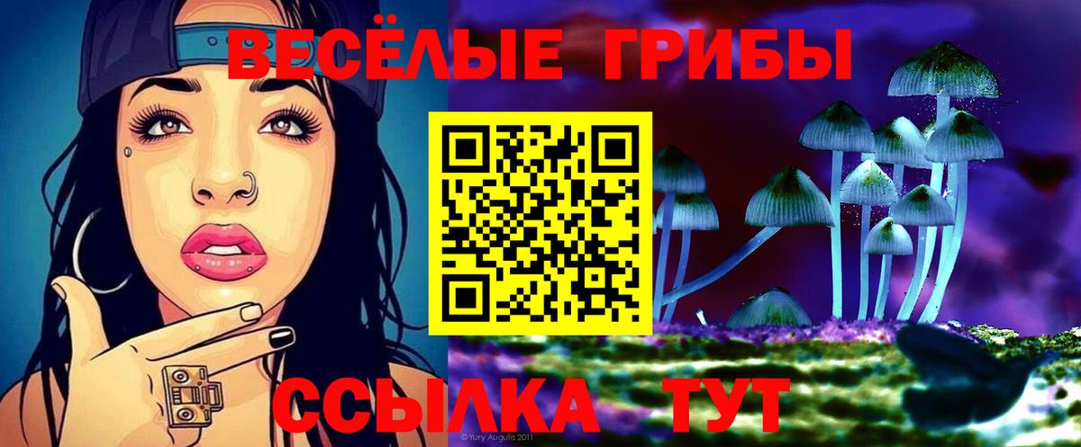 Санкт-Петербург  Галлюциногенные грибы Magic Shrooms  Вход с VPN 
