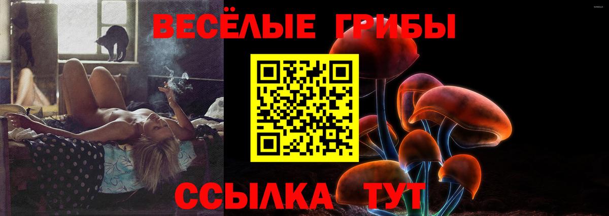 Галлюциногенные грибы прущие грибы Санкт-Петербург