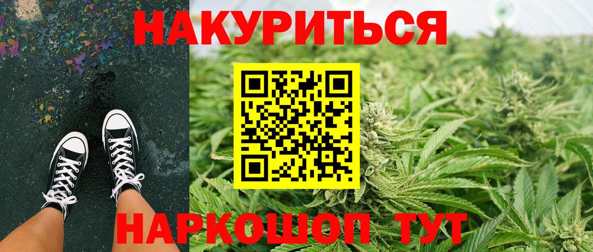 Шишки марихуана план  Вход с VPN  Санкт-Петербург  Канабис White Widow  Каннабис THC 21% 